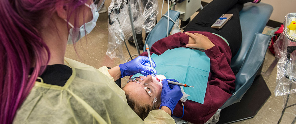 Dental Hygiene Health Professions Siu